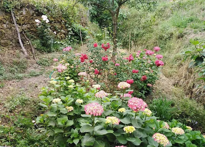 Il GhiroBed and Breakfast